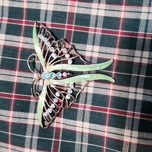 Luna Moth Brooche